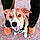 Sparky