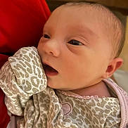 Sylvia is registered to the contest to win money with this photo: baby, newborn, infant, face, clothing, patterned_clothing, leopard_print, red_background, closeup, skin, person, cute, eyes, mouth, head, newborn_baby, baby_outfit, soft_light, indoors, portrait