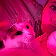 Bella joined the competition — help win amazing prizes! cat, person, face, indoor, closeup, pink_light, bedroom, blanket, resting, pet, feline, cute, cozy, portrait, whiskers, human, relaxing, eyelashes, sleepy, soft