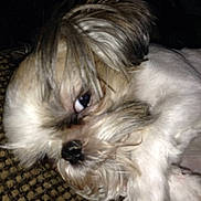 Jersey is registered to the contest to win money with this photo: