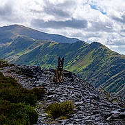 Alfie joined the competition — help win amazing prizes! adventure, animal, canine, clouds, daylight, dog, greenery, hill, landscape, majestic, mountain, nature, outdoor, rocks, rocky_path, scenic, serene, sky, trail, wilderness