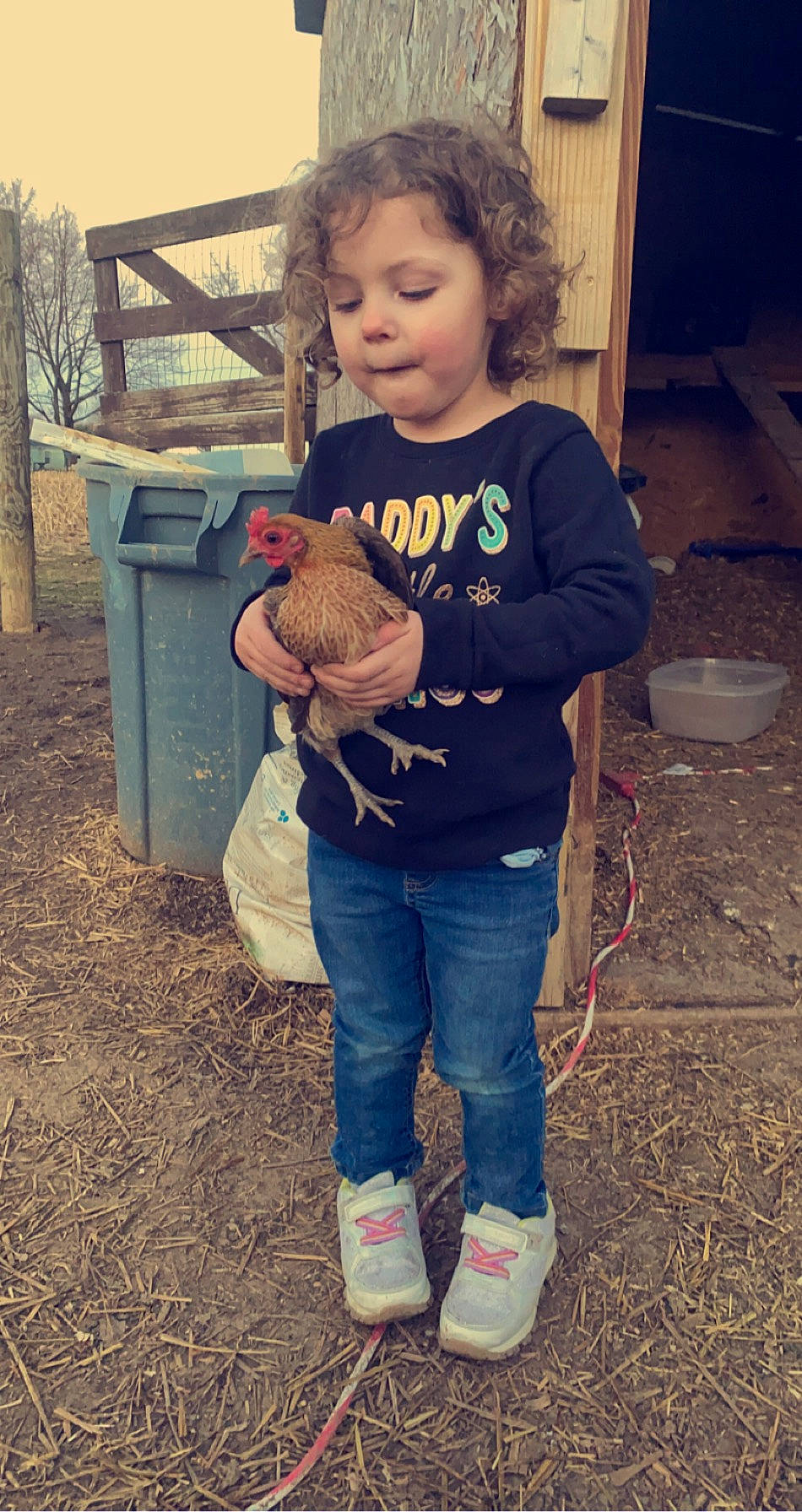 Montana joined the competition — help win amazing prizes! bucket, child, denim, fun, fur, grass, hairstyle, happy, person, play, sitting, sleeve, soil, standing, t_shirt, toddler, toy