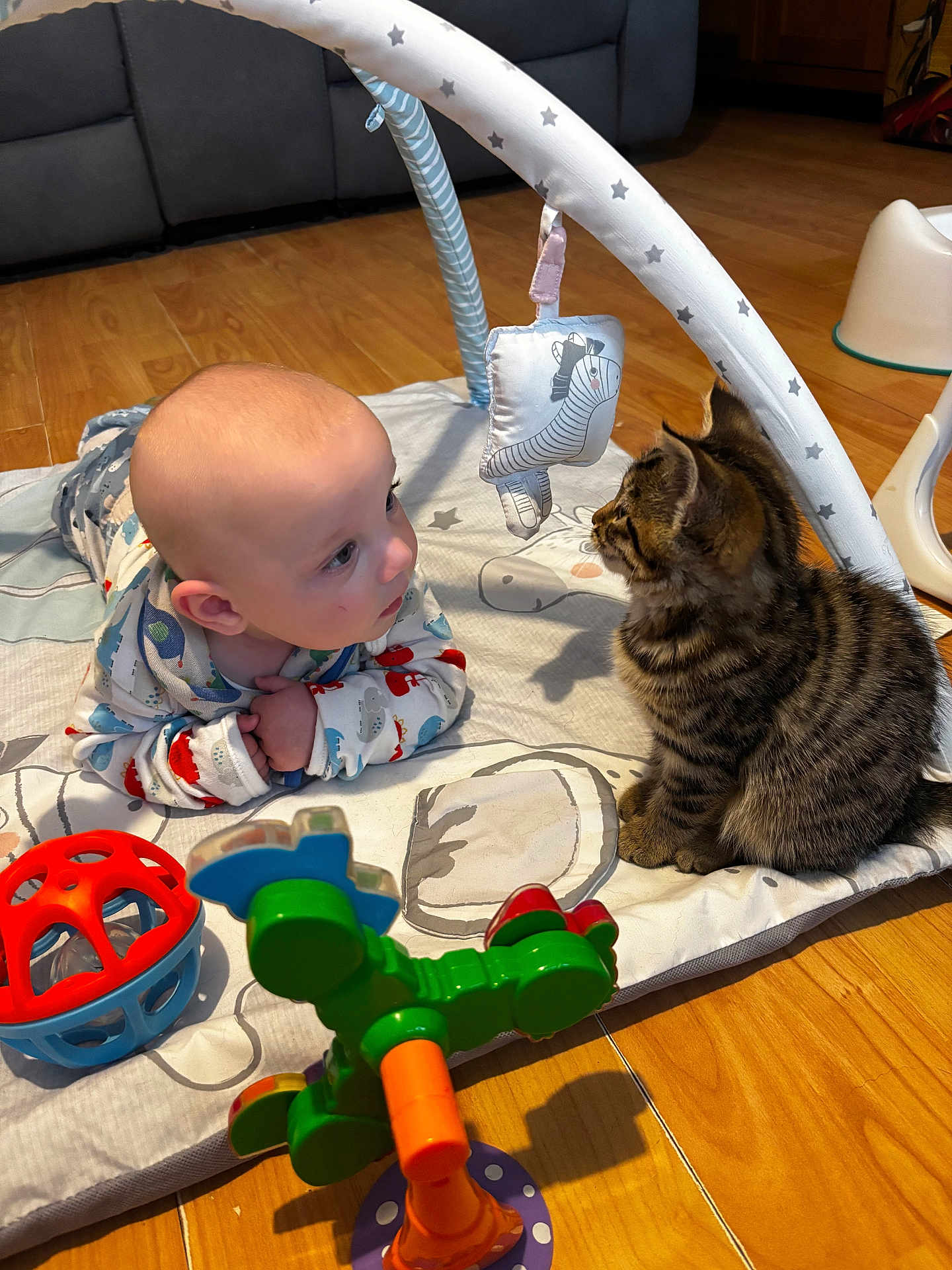 Theo is registered to the contest to win money with this photo: baby, kitten, play_mat, toy, floor, wooden_floor, indoor, curious, child, animal, pet, tabby_cat, colorful, clothing, infant, crawling, face, interaction, home, furniture