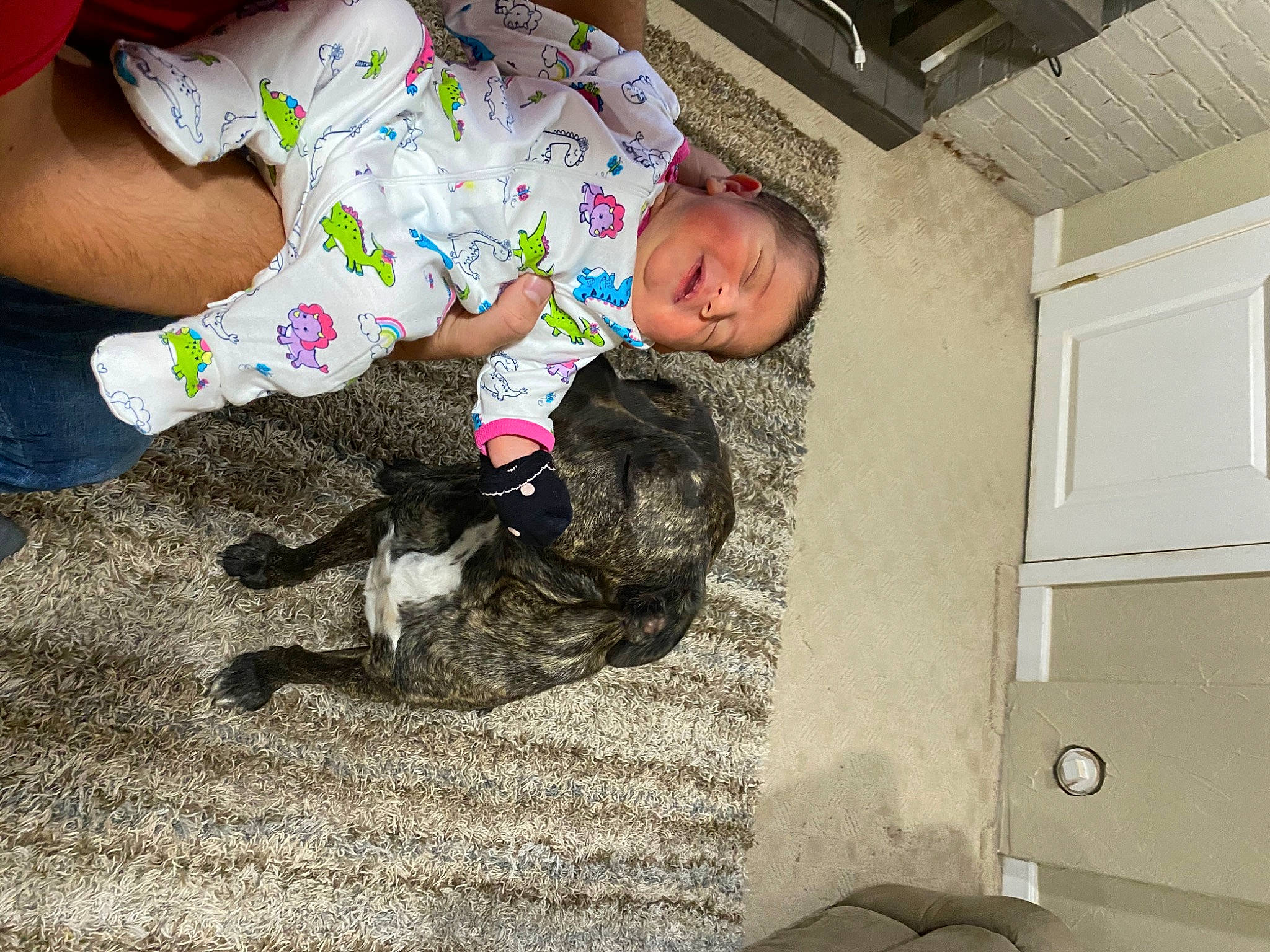 Imani joined the competition — help win amazing prizes! canidae, carnivore, child, dog, dog_breed, german_shorthaired_pointer, person, play, puppy, sporting_group, toddler