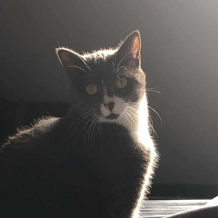 Suki