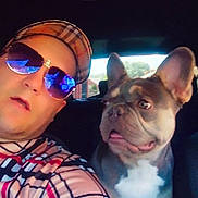 Guss joined the competition — help win amazing prizes! man, dog, french_bulldog, car, selfie, sunglasses, hat, seat, window, casual, expression, indoor, pet, companion, portrait, vehicle_interior, reflection, plaid_shirt, tongue_out, daylight