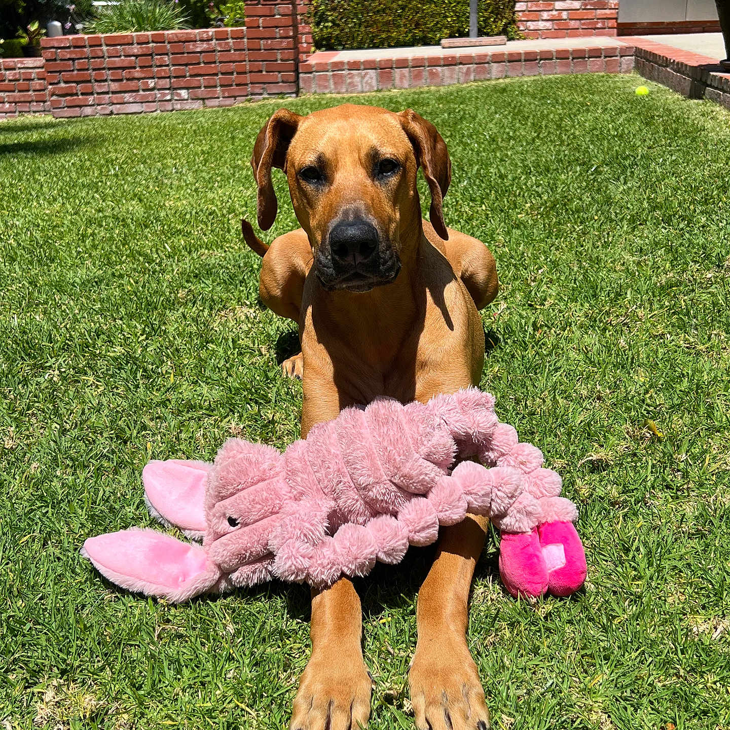 Ruby
