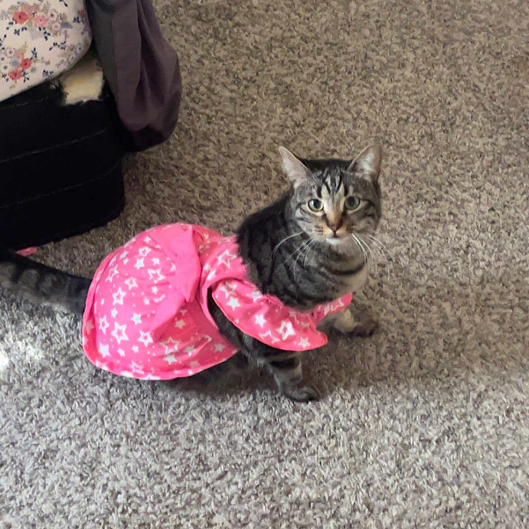 Peppa