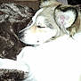 Abby participe au concours pour gagner de l'argent avec cette photo :