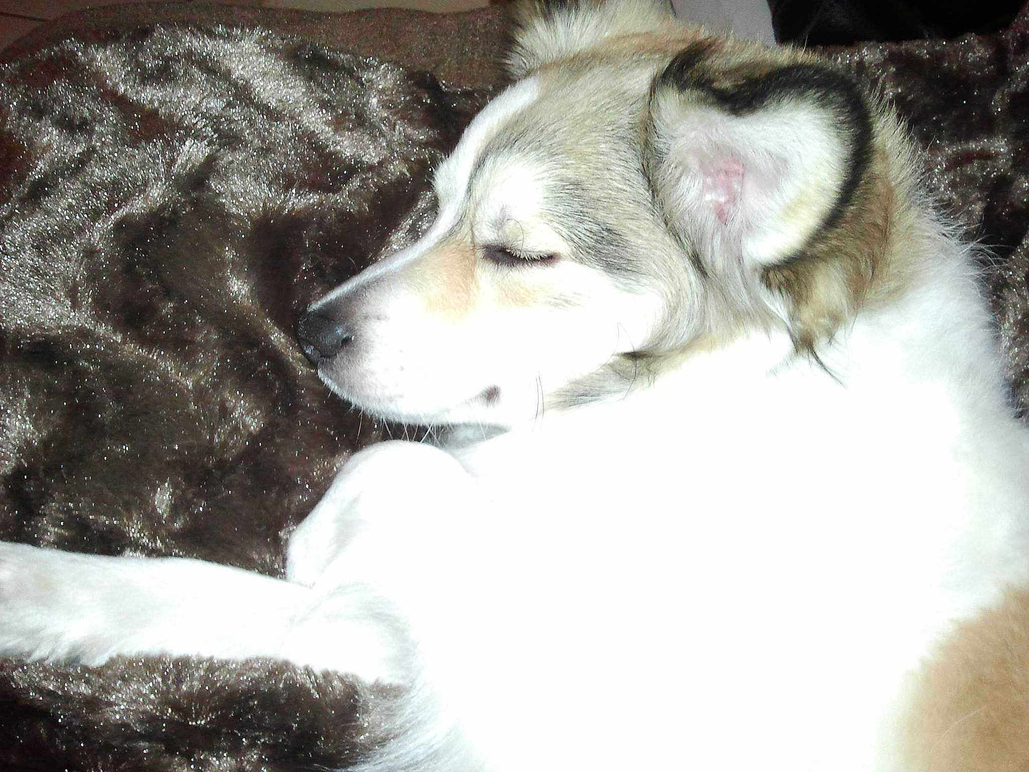 Abby