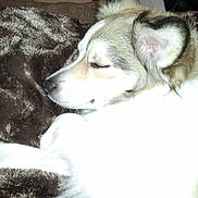 Abby participe au concours pour gagner de l'argent avec cette photo :