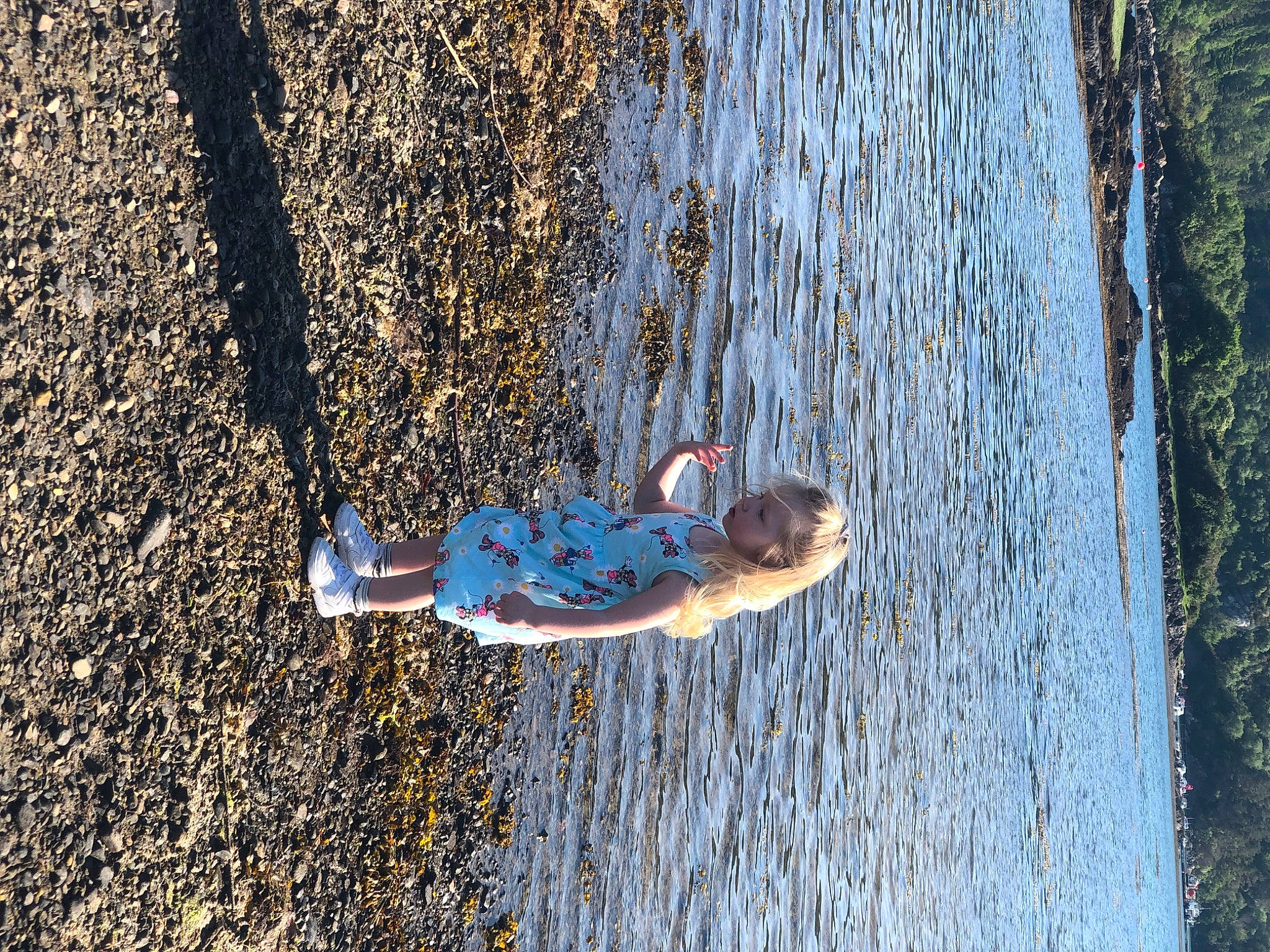 Isla is registered to the contest to win money with this photo: adventure, azure, electric_blue, extreme_sport, fun, grass, lake, leisure, people_in_nature, person, plant, recreation, reflection, rope, shadow, sport_climbing, tree, trunk, water, wave