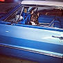 dog, french_bulldog, car, vintage_car, blue_car, night, pet, animal, window, seat, interior, chrome, side_view, parking_lot, urban, street, lights, curious, looking_out, canine