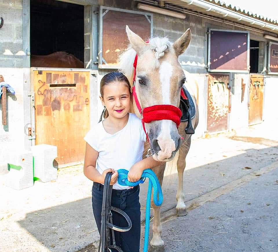 Peyton participe au concours pour gagner de l'argent avec cette photo : bridle, fawn, fun, goats, horse_supplies, horse_tack, joy, landscape, leisure, livestock, mane, mode_of_transport, pack_animal, person, rein, smile, snout, street, toddler, tourism