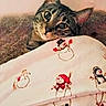 Lilo joined the competition — help win amazing prizes! animal, blanket, cat, close_up, couch, cozy, cute, ears, feline, indoors, pet, portrait, sleeping_area, snowmen, soft_fabric, striped_fur, tabby_cat, whiskers, wide_eyes, winter_pattern
