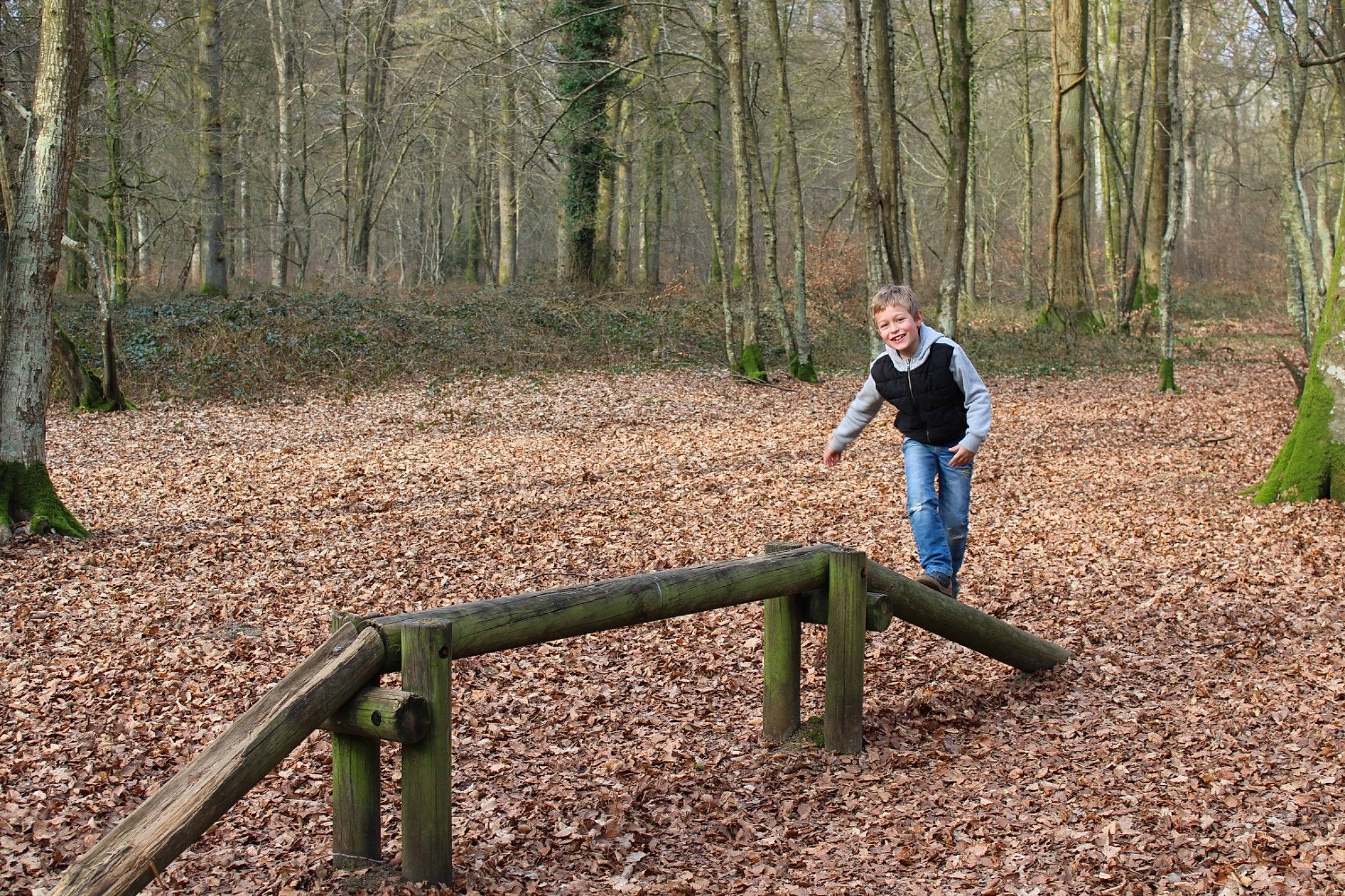 Simon participe au concours pour gagner de l'argent avec cette photo : branch, deciduous, forest, grass, grove, joy, landscape, leisure, natural_landscape, path, people_in_nature, person, plant, recreation, soil, temperate_broadleaf_and_mixed_forest, trail, tree, trunk, walking