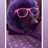 Mon Amoureuse a rejoint le concours — aidez-le/la à gagner de superbes lots ! beard, eyewear, facial_hair, glasses, photo_caption, photography, purple, selfie, sunglasses, violet