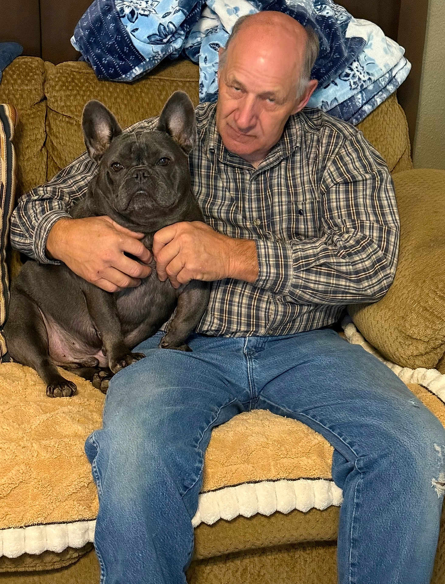 Dright joined the competition — help win amazing prizes! man, dog, french_bulldog, plaid_shirt, jeans, couch, blanket, indoor, seated, pet, canine, human, middle_aged, furniture, brown, blue, pattern, face, hands, casual