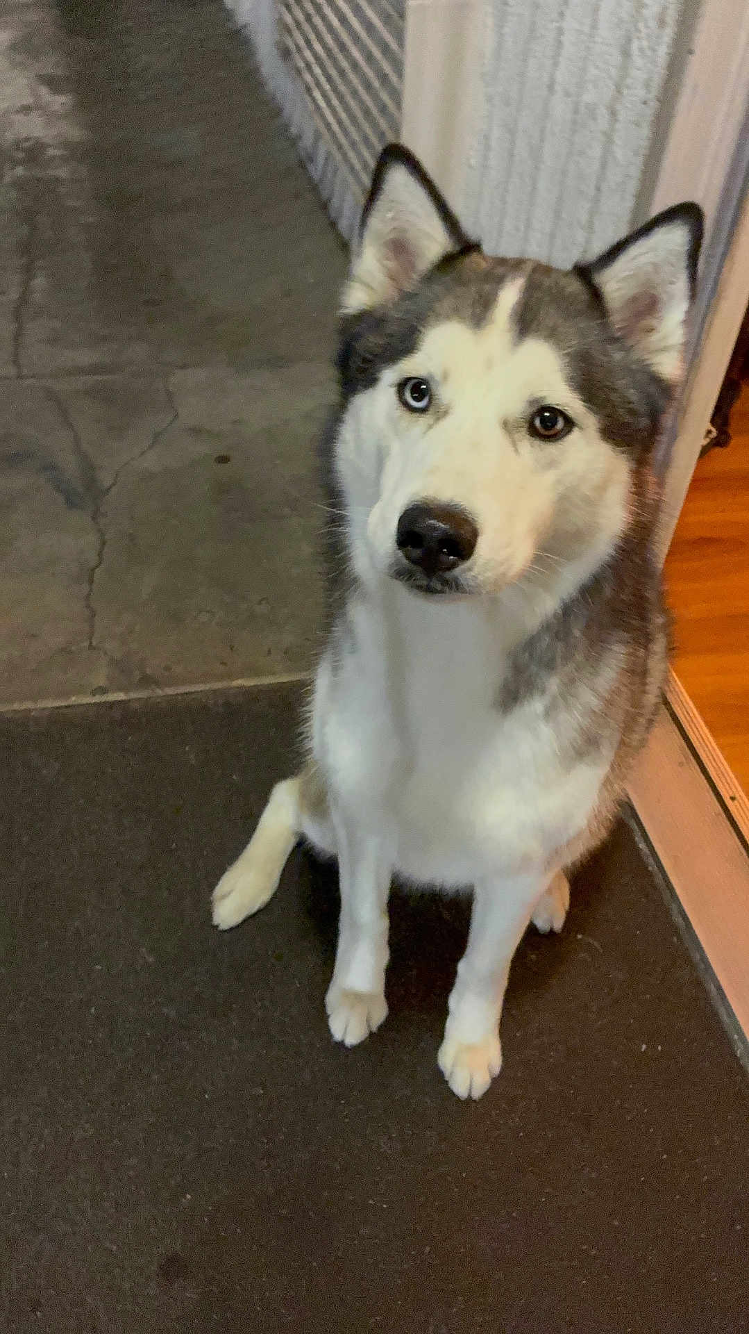 Luna