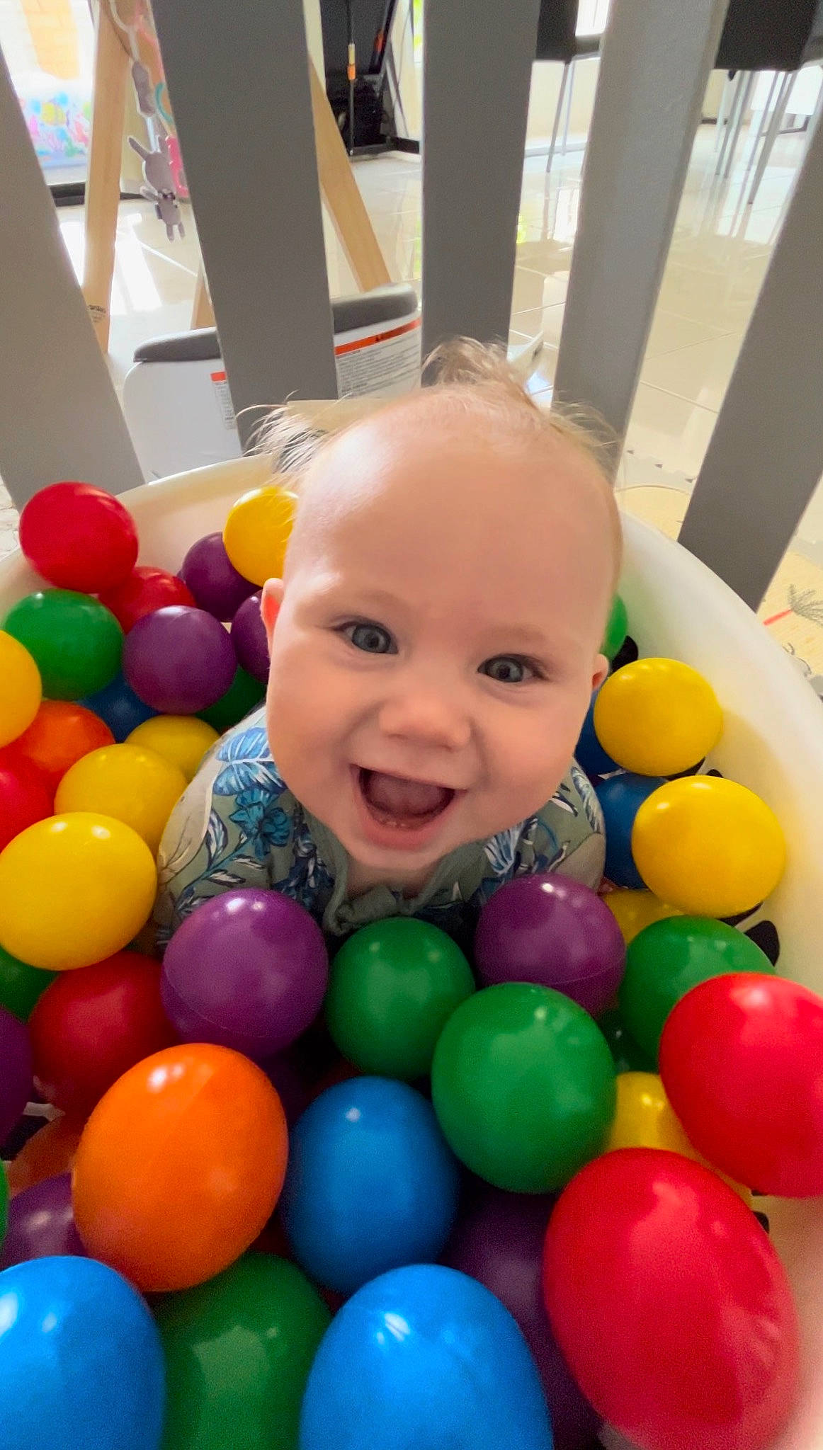 Chase joined the competition — help win amazing prizes! baby, baby_playing_with_toys, ball, ball_pit, child, event, fun, happy, leisure, party_supply, person, photograph, play, product, room, smile, snapshot, sports_toy, toddler, toy