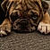Mable