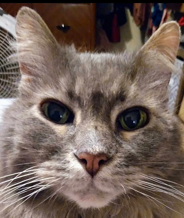 Smokey