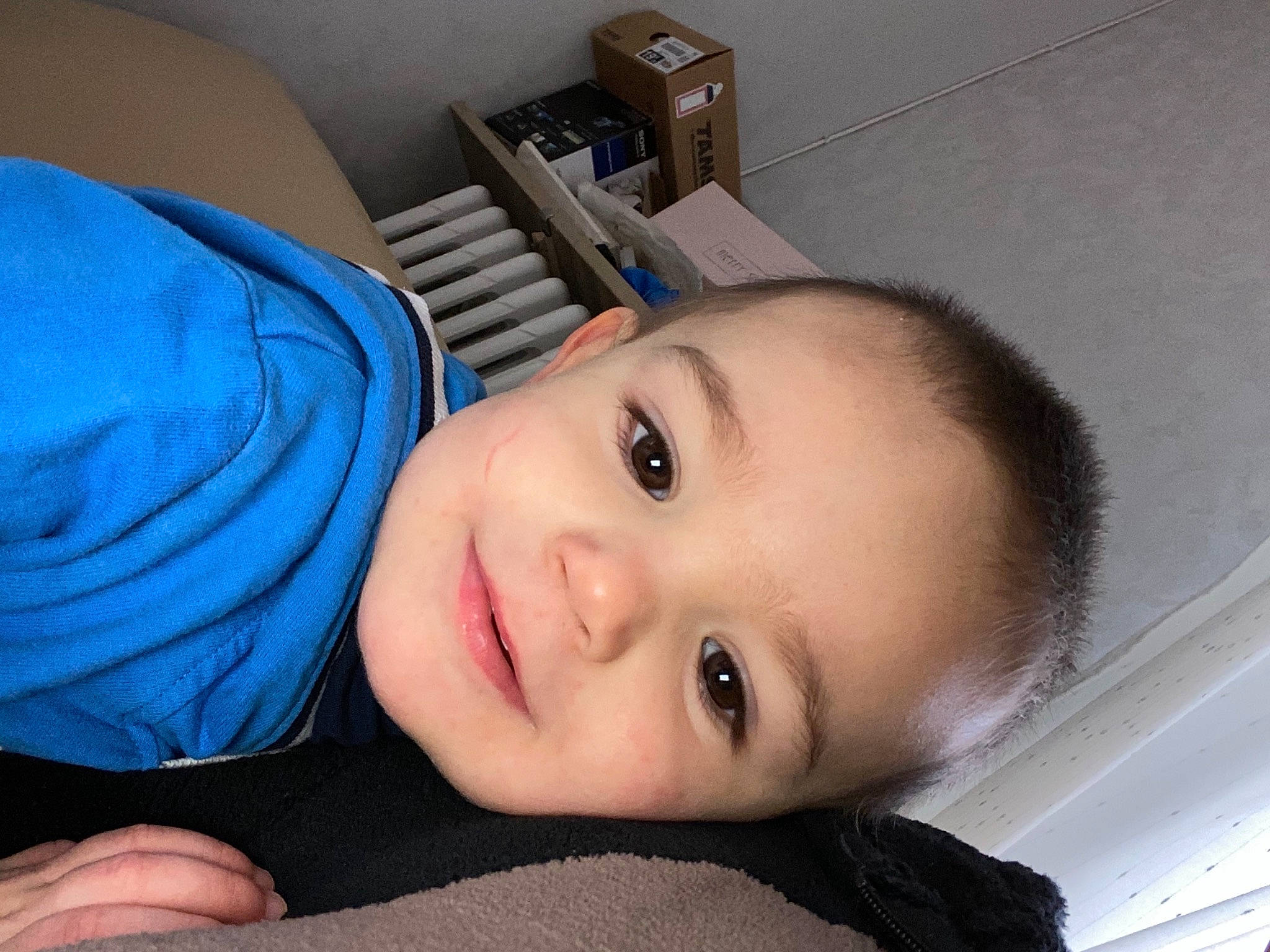 Manoa a rejoint le concours — aidez-le/la à gagner de superbes lots ! black_hair, cheek, child, chin, comfort, electric_blue, eyebrow, eyelash, flash_photography, forehead, hair, head, iris, jaw, joy, lip, mouth, neck, nose, person