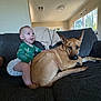 baby, dog, couch, living_room, window, blanket, green_clothing, indoor, pet, child, furniture, carpet, smiling, tongue_out, ears, face, home_decor, person, animal, relaxing