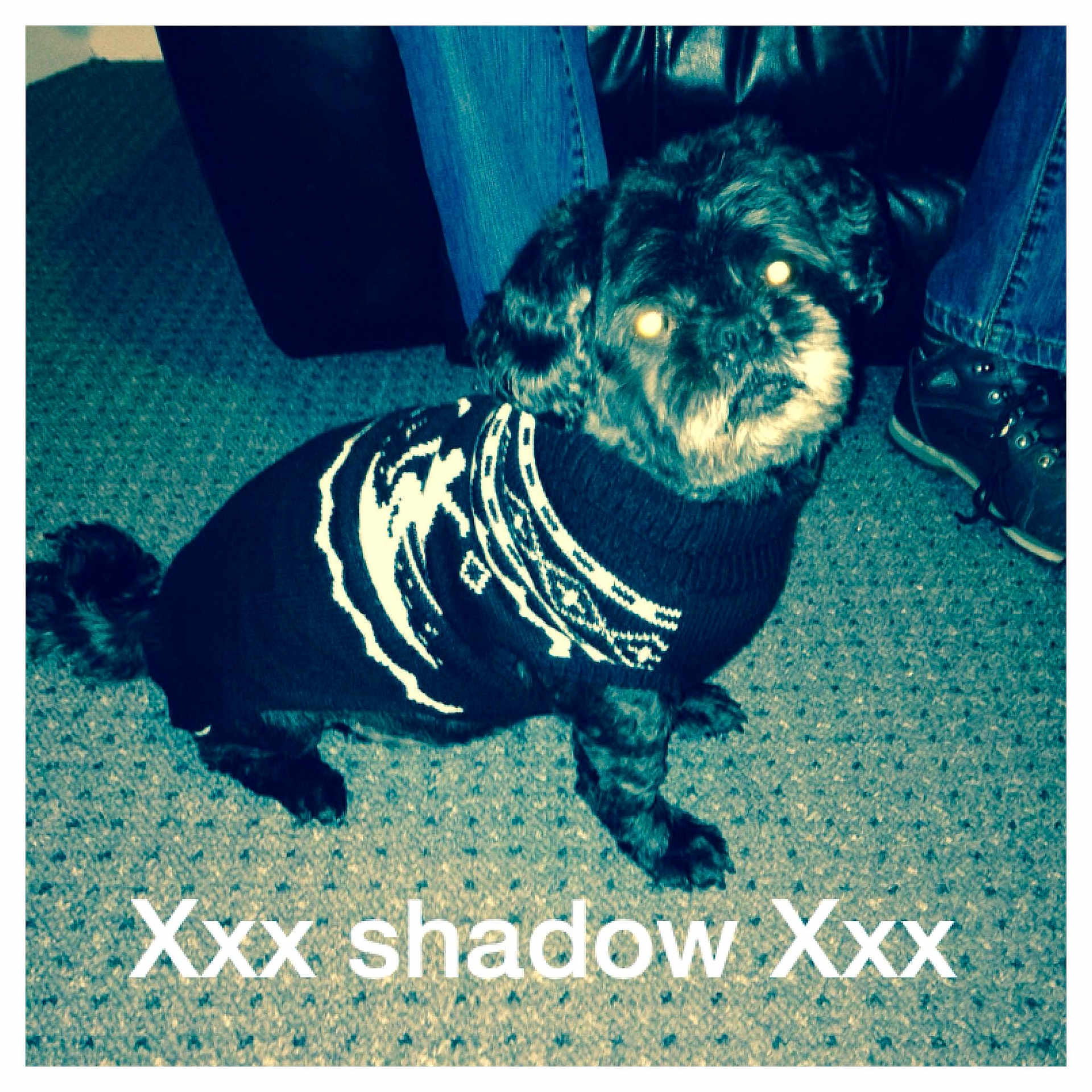 Shadow