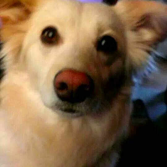 Rokkel Lynn Maire is registered to the contest to win money with this photo: