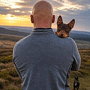Reggie is registered to the contest to win money with this photo: sunset, man, bald, dog, holding, outdoor, nature, field, sky, clouds, pet, animal, companion, back_view, landscape, grass, casual_clothing, evening, walking, friendship