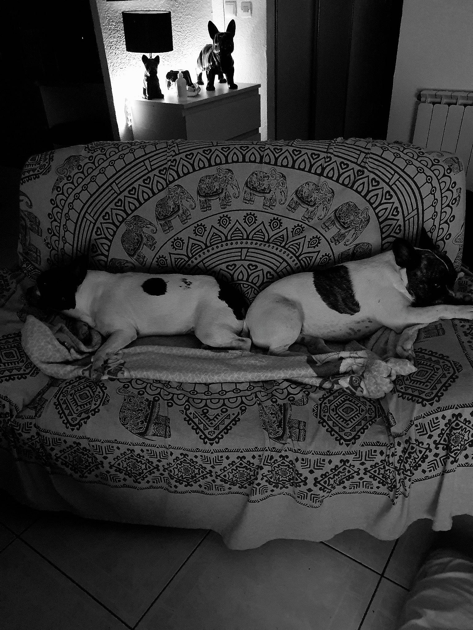 Mimiss participe au concours pour gagner de l'argent avec cette photo : architecture, bed, bed_sheet, bedroom, black, black_and_white, couch, floor, furniture, house, interior_design, linens, monochrome, monochrome_photography, photography, room, studio_couch, table, textile, white