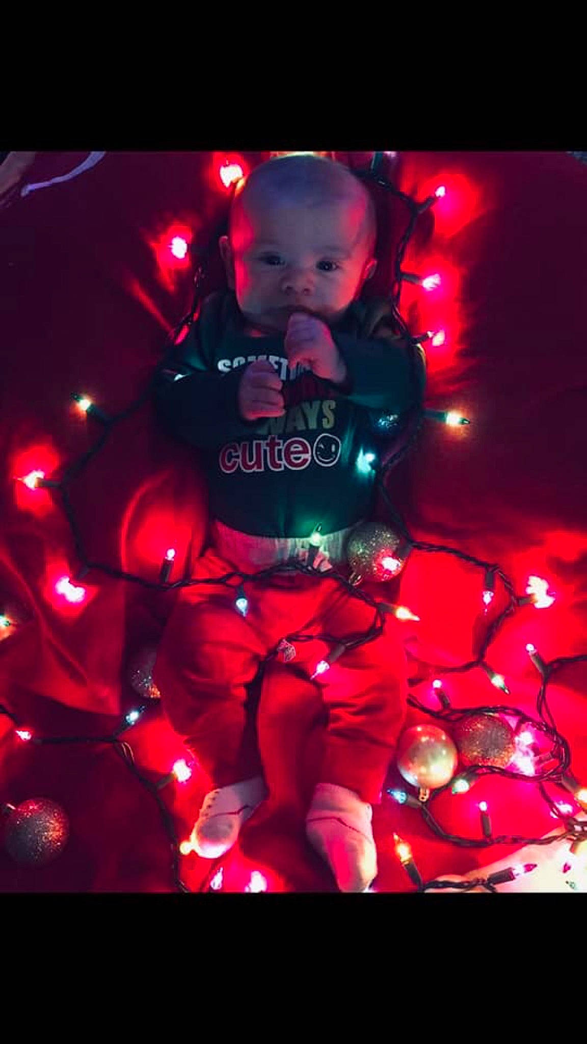 Bo joined the competition — help win amazing prizes! christmas, christmas_decoration, christmas_lights, computer_wallpaper, darkness, entertainment, event, fete, light, lighting, magenta, midnight, performance_art, person, petal, red, stage