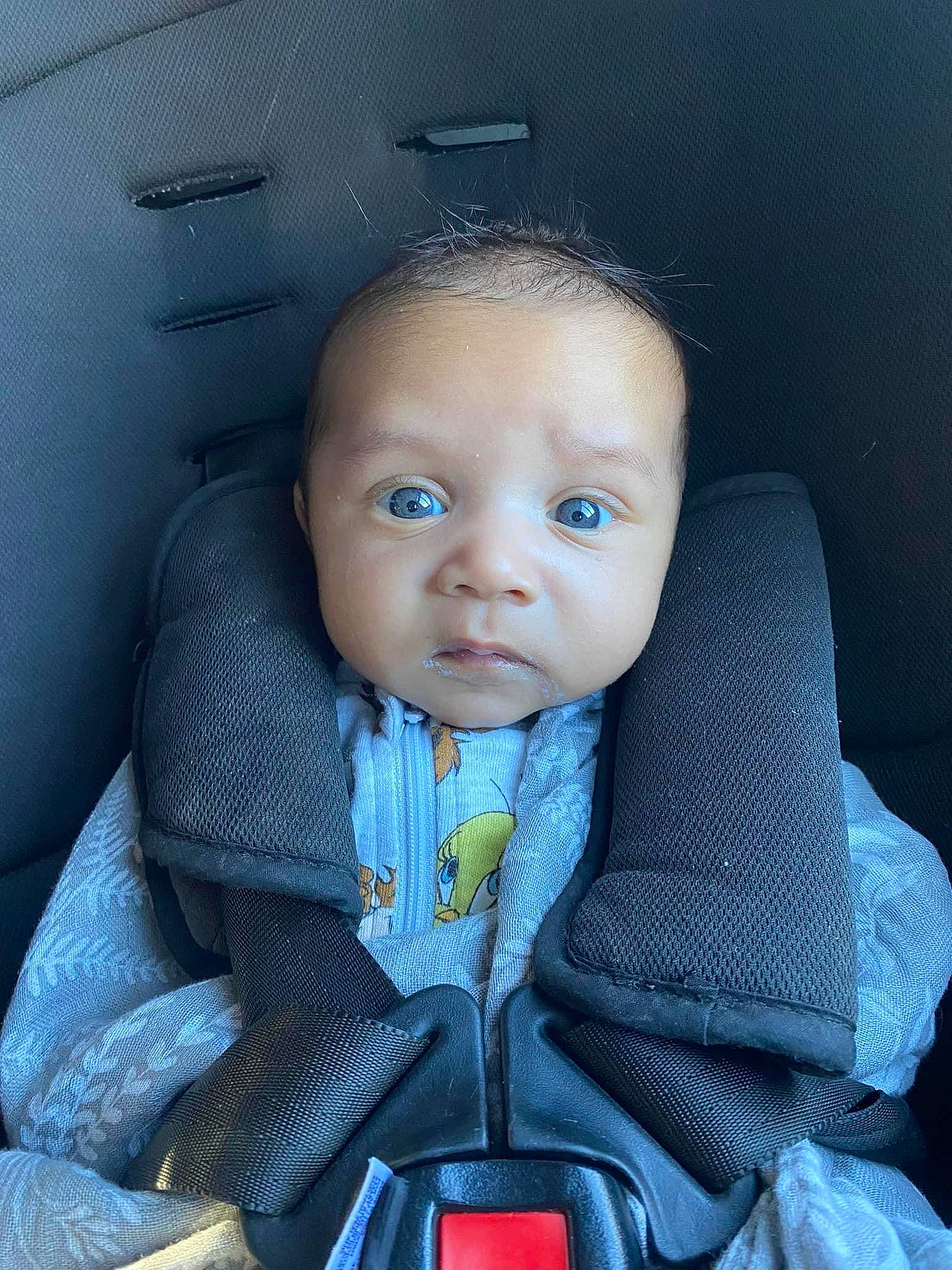 Kyrie joined the competition — help win amazing prizes! auto_part, baby, baby_toddler_clothing, car_seat, cheek, child, chin, collar, comfort, electric_blue, eyebrow, flash_photography, iris, nose, outerwear, person, seat_belt, skin, sleeve, toddler