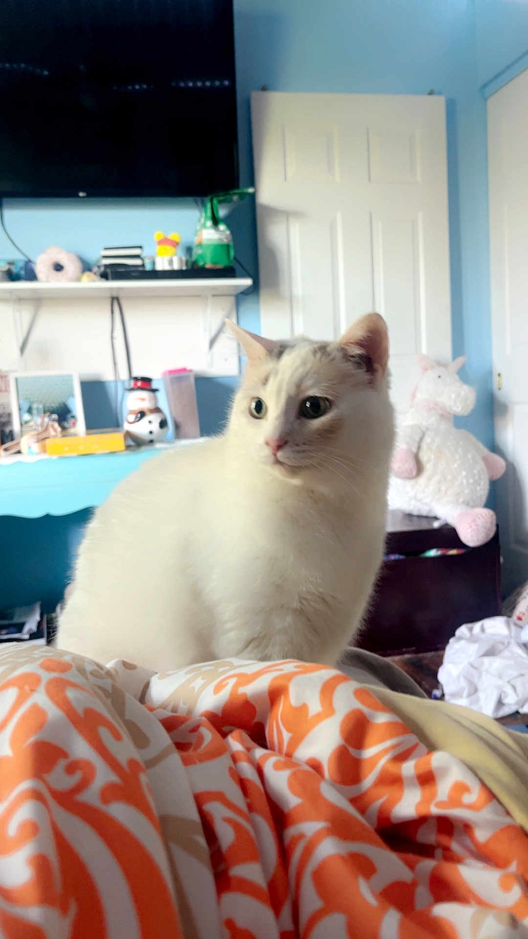 Jelly Bean