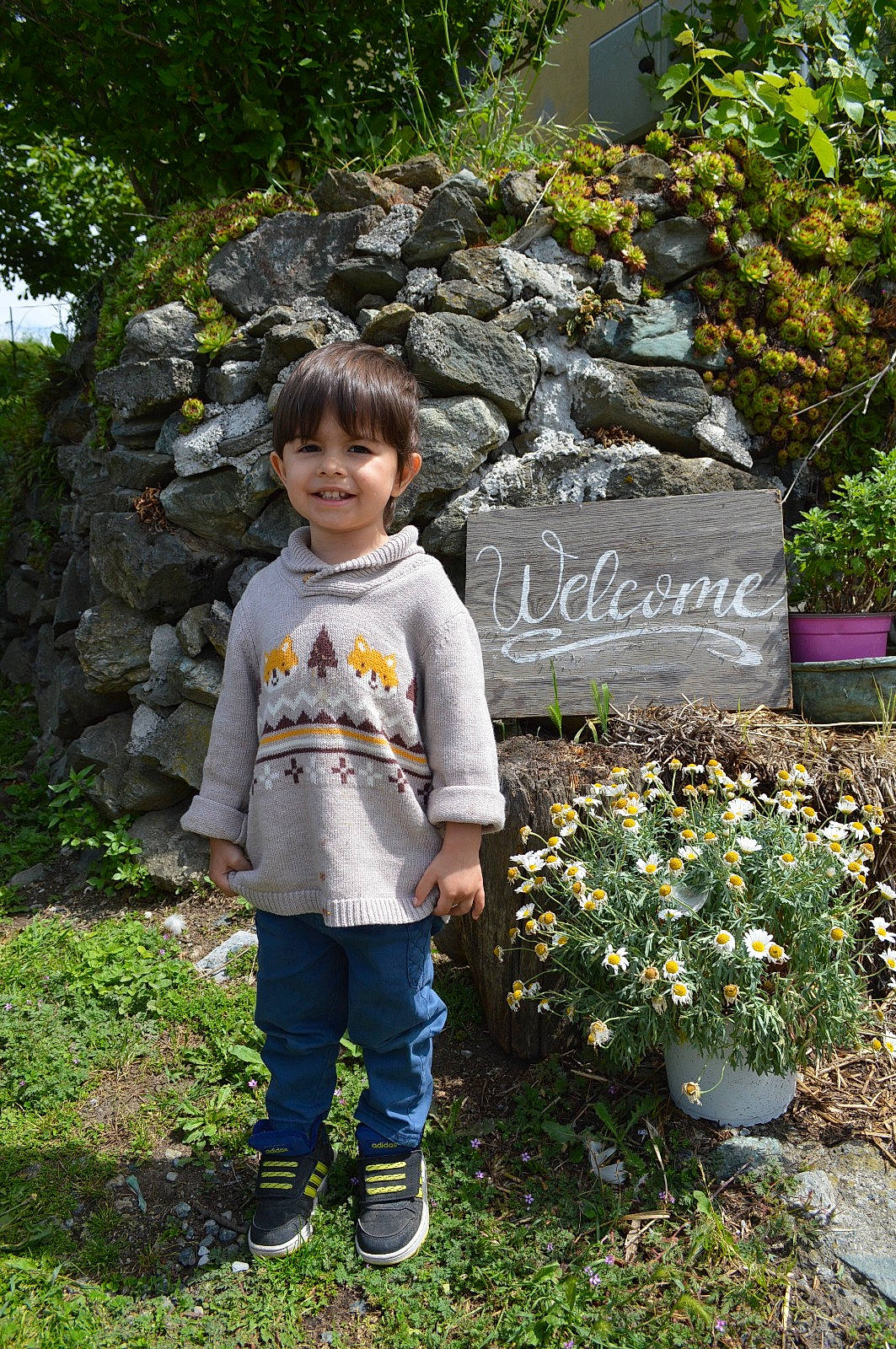 Idriss a rejoint le concours — aidez-le/la à gagner de superbes lots ! annual_plant, flower, flowerpot, garden, grass, grass_family, groundcover, houseplant, joy, landscape, landscaping, leisure, people_in_nature, person, plant, rock, shrub, smile, spring, t_shirt