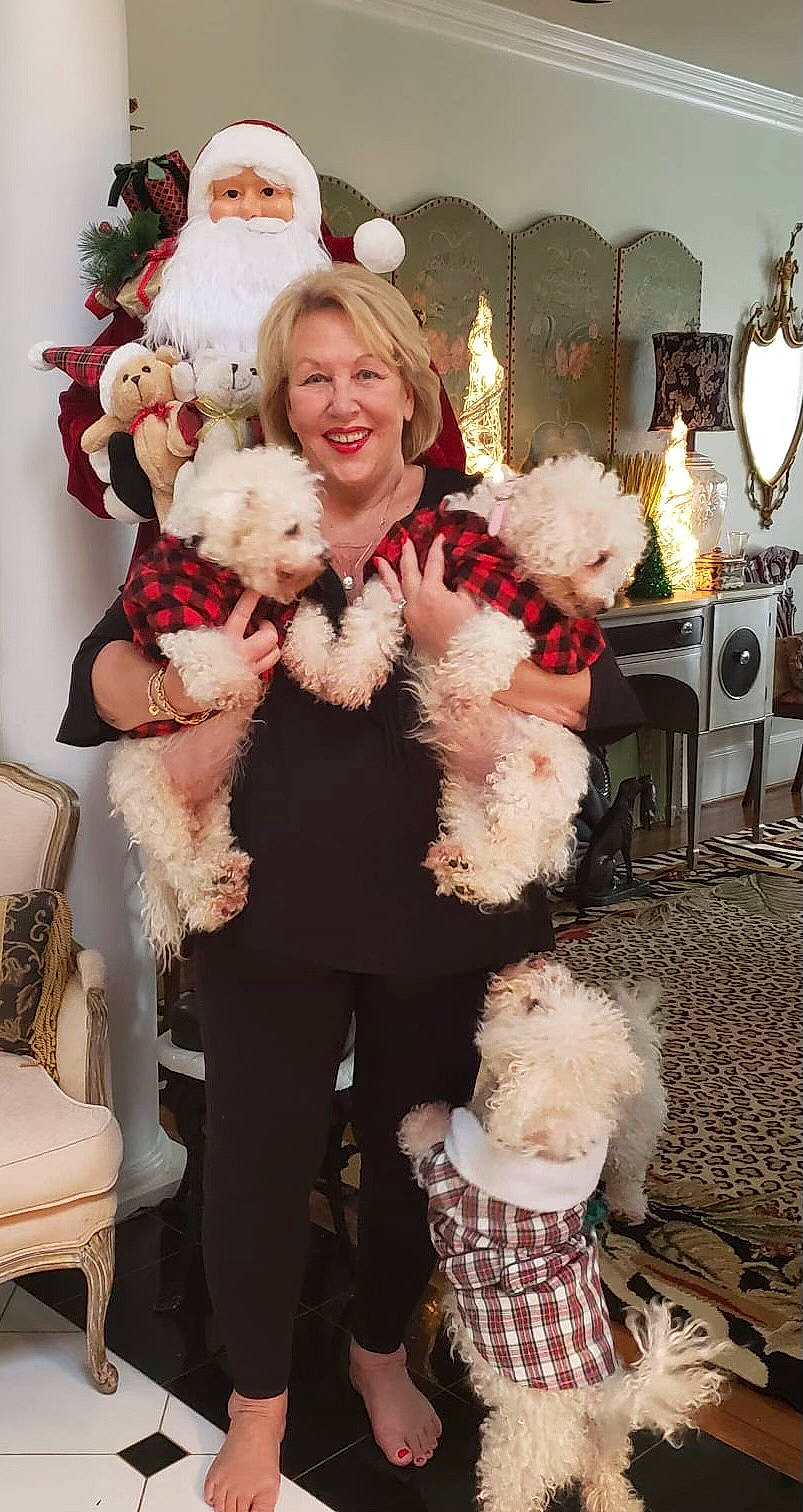 Lily joined the competition — help win amazing prizes! child, companion_dog, costume, dog, event, fashion, fun, fur, fur_clothing, happy, holiday, human_body, lamp, pink, room, smile, standing, textile, toy, white