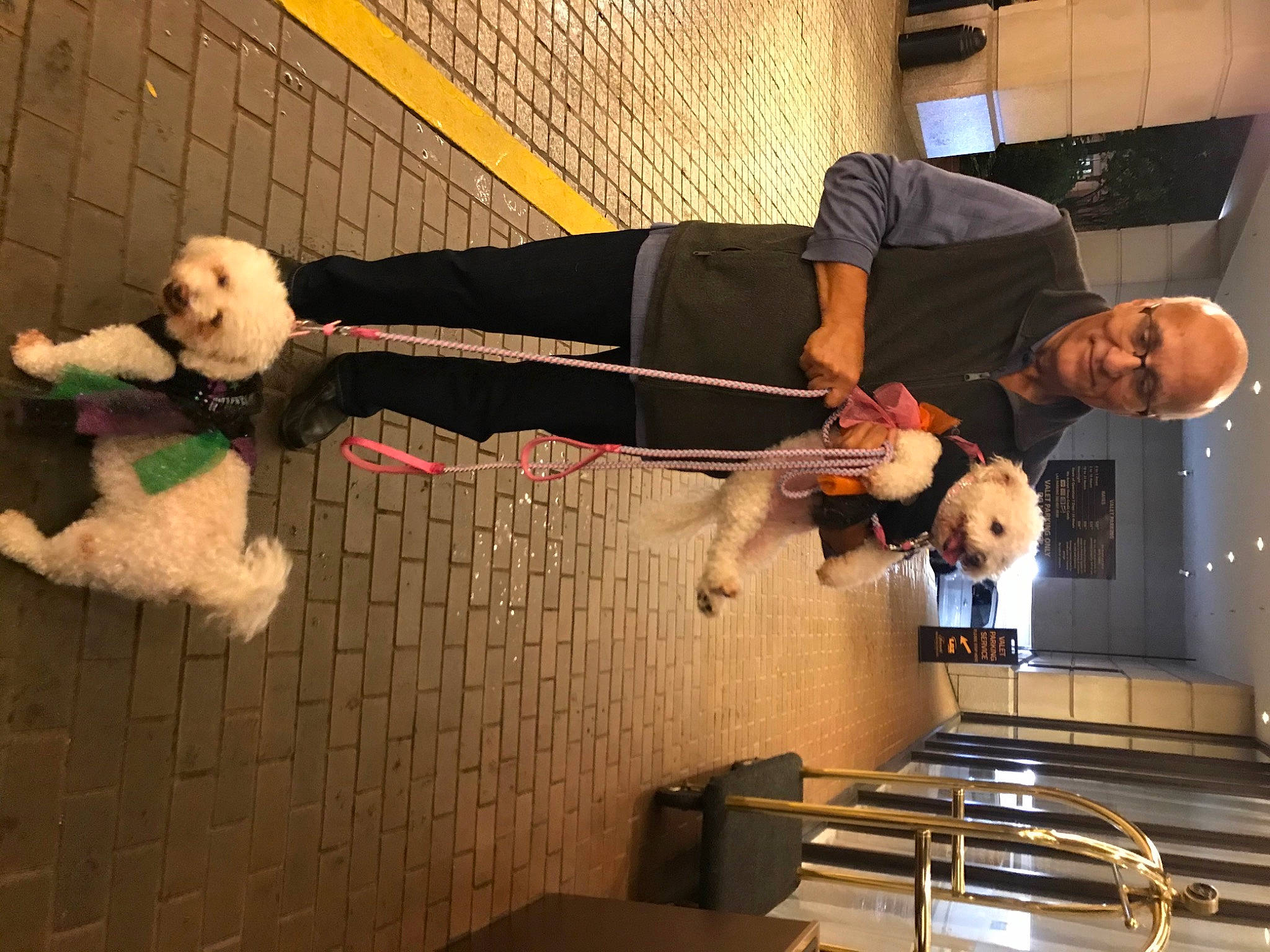 Lily is registered to the contest to win money with this photo: balance, event, flooring, fun, fur, happy, kitchen_utensil, room, smile, suit