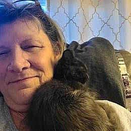 Toby is registered to the contest to win money with this photo: beard, carnivore, cat, cloud, comfort, companion_dog, cool, dog_breed, ear, felidae, happy, jaw, mammal, mountainous_landforms, nose, selfie, sky, small_to_medium_sized_cats, smile, whiskers