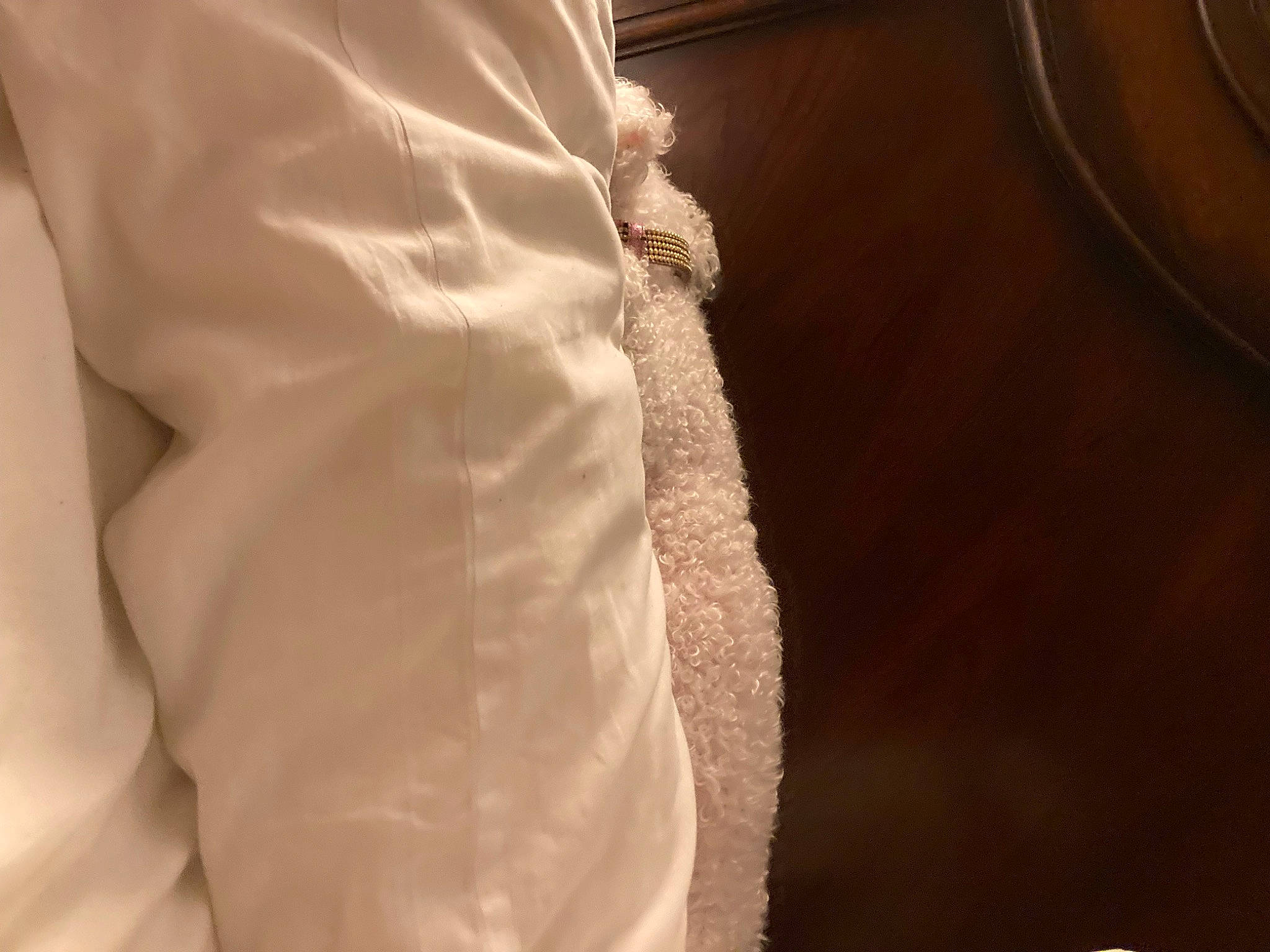 Gracie joined the competition — help win amazing prizes! elbow, fashion_design, flooring, formal_wear, hardwood, human_leg, knee, linens, paper, paper_product, pattern, peach, room, shadow, sleeve, thigh, tints_and_shades, waist, wood