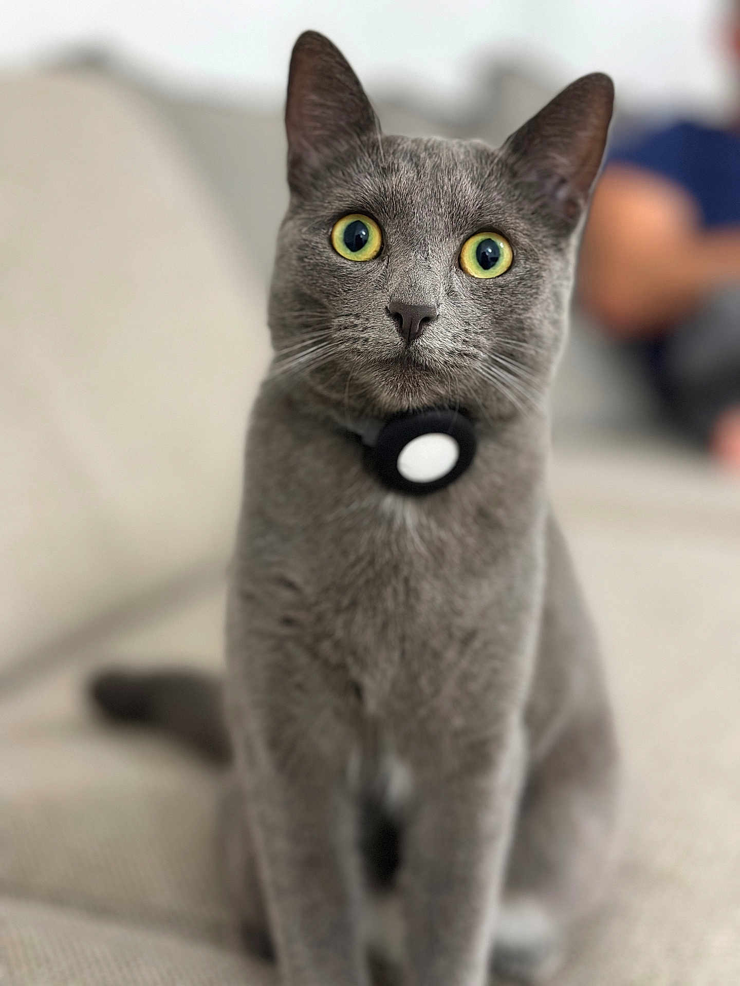 Kiara