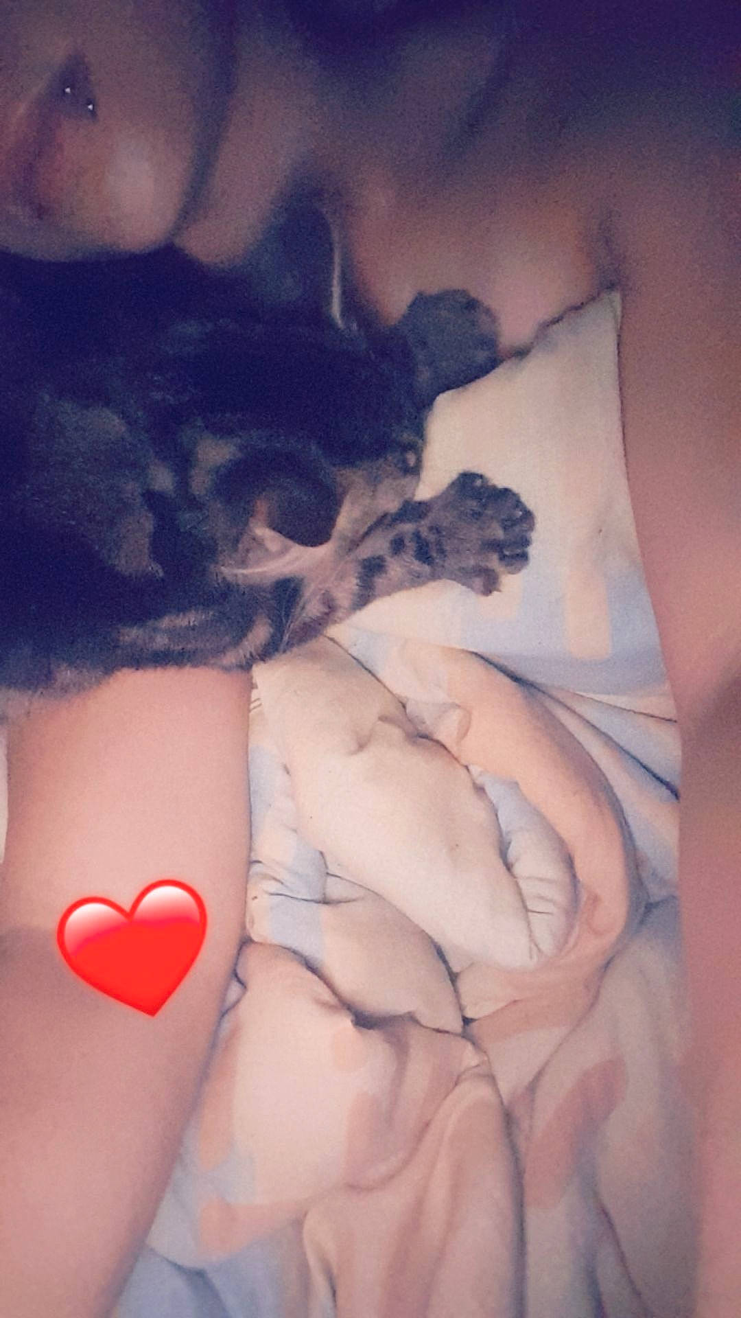 Bambino a rejoint le concours — aidez-le/la à gagner de superbes lots ! flesh, gesture, hand, human_body, lip, love, neck, paw, tattoo