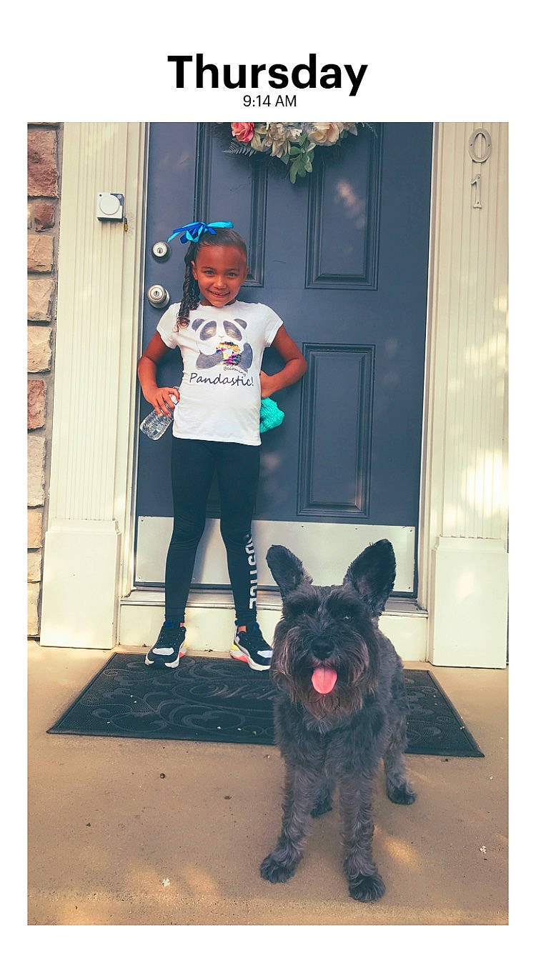 Taleah joined the competition — help win amazing prizes! boot, carnivore, companion_dog, cool, dog, dog_breed, door, fashion_accessory, fur, hat, home_door, joy, leg, person, photograph, sleeve, snapshot, snout, sporting_group, street_fashion