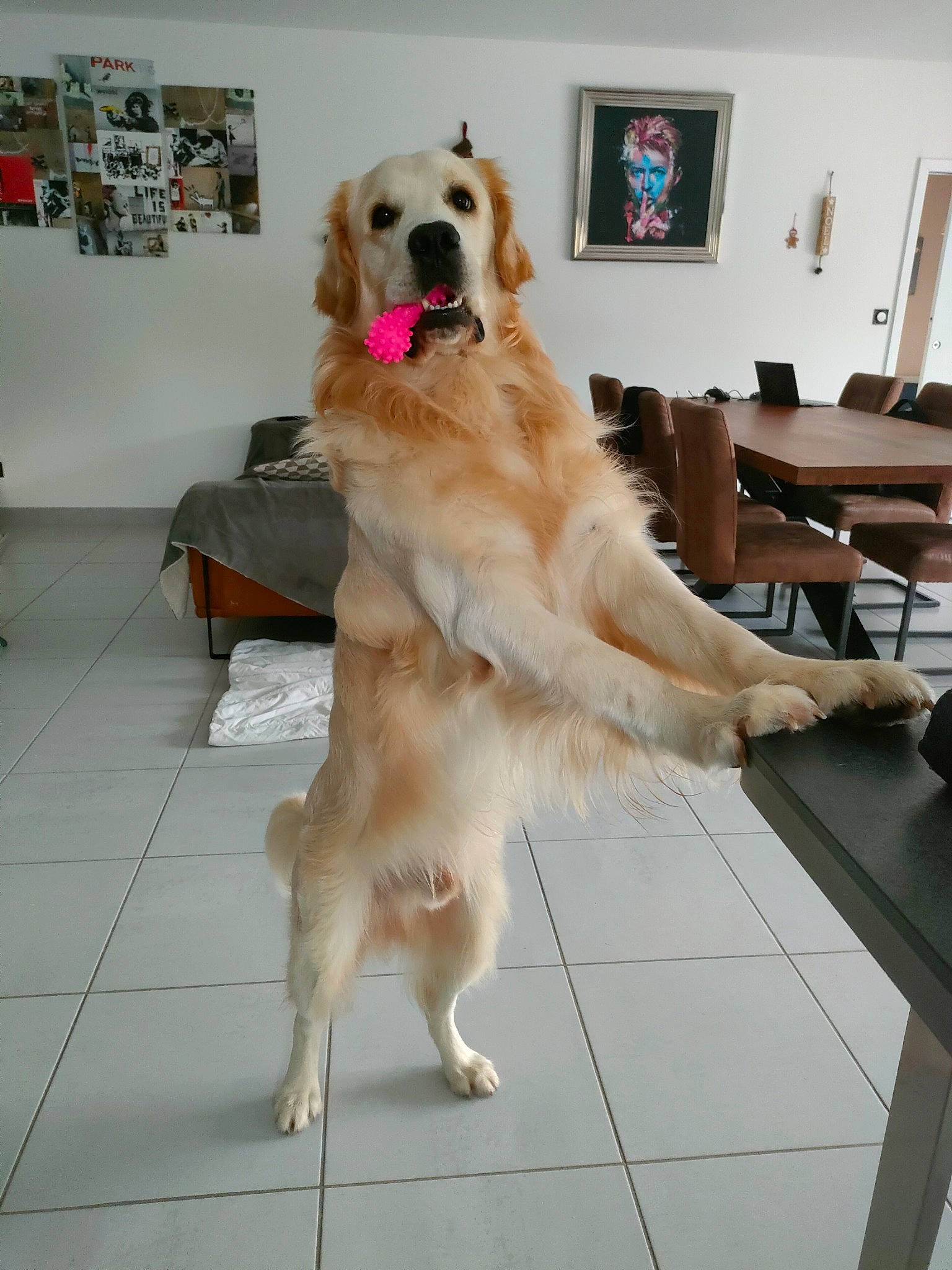 Yuki