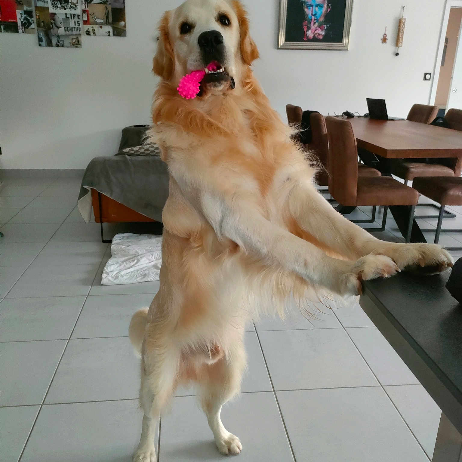 Yuki