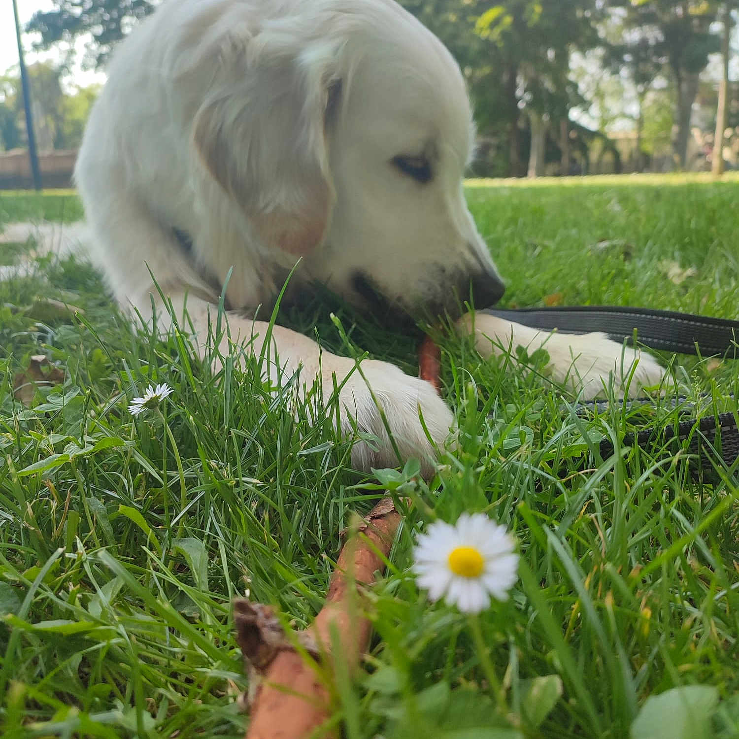 Yuki