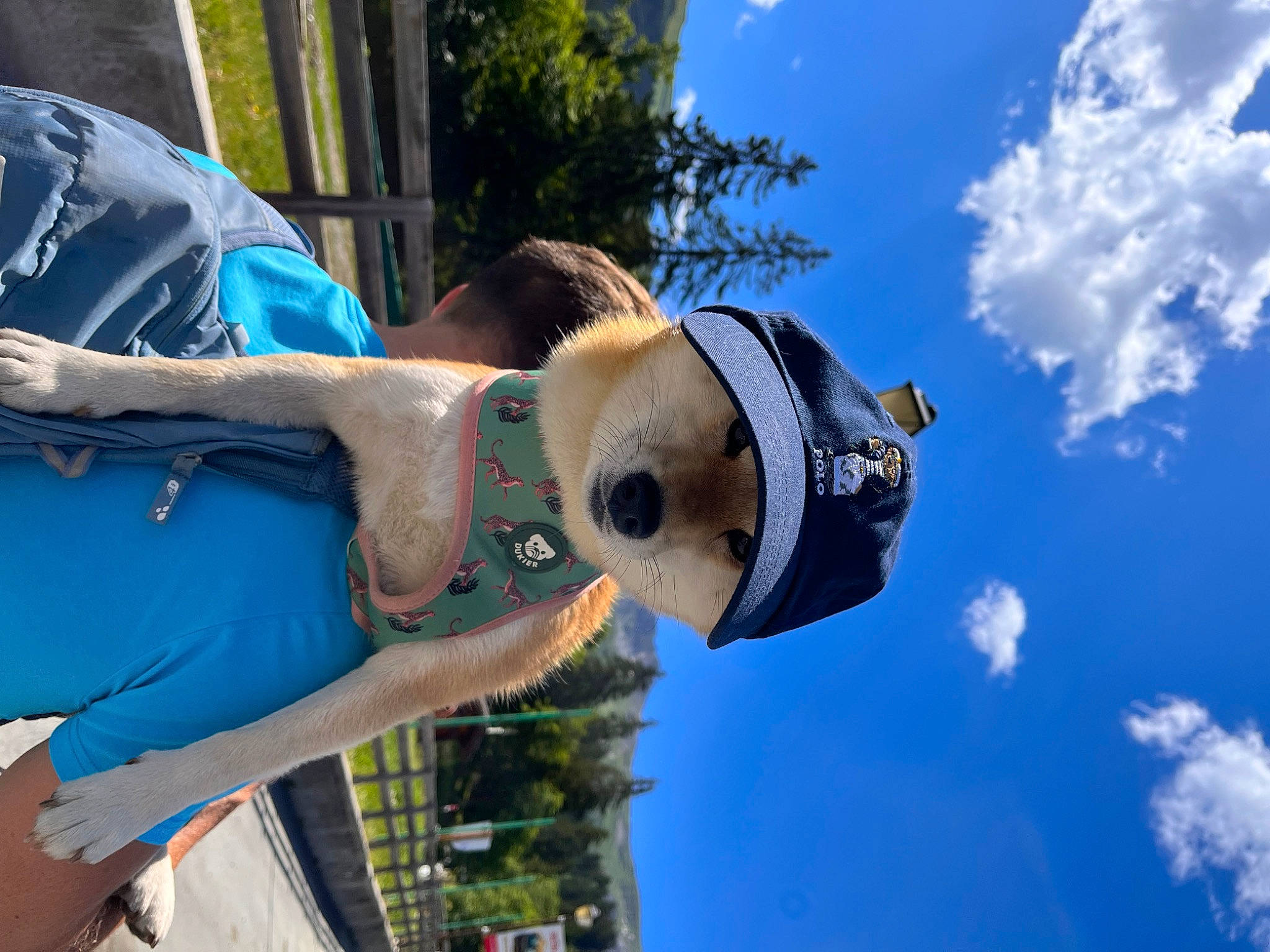 Tilou a rejoint le concours — aidez-le/la à gagner de superbes lots ! art, azure, blue, carmine, cloud, cumulus, elbow, electric_blue, eyewear, fun, leisure, personal_protective_equipment, pole, recreation, sculpture, sky, statue, travel, tree