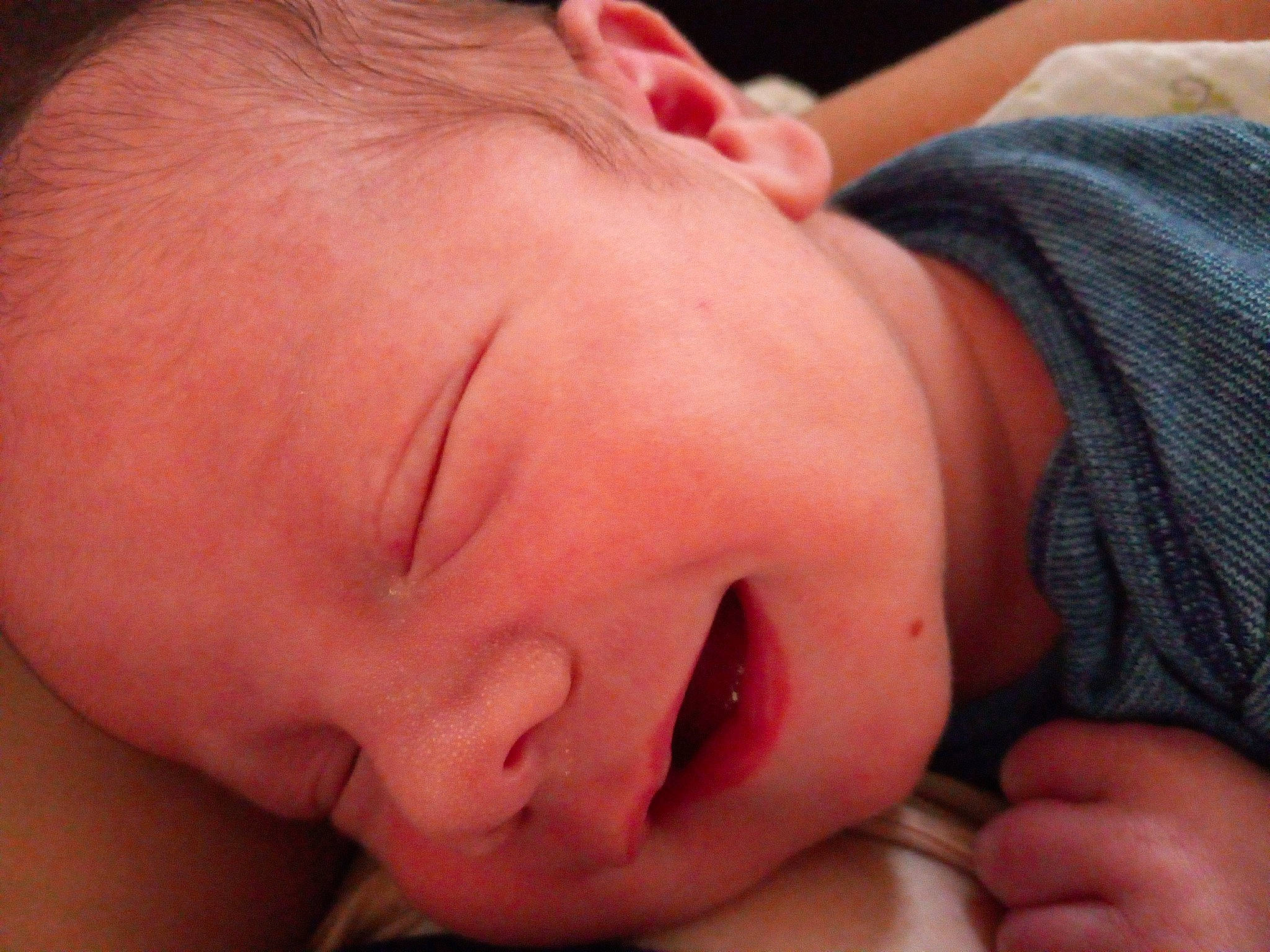 Maverick is registered to the contest to win money with this photo: cheek, clothing, comfort, ear, eye, eyelash, forehead, gesture, hair, hand, happy, human_body, iris, jaw, lip, mouth, neck, nose, organ, person