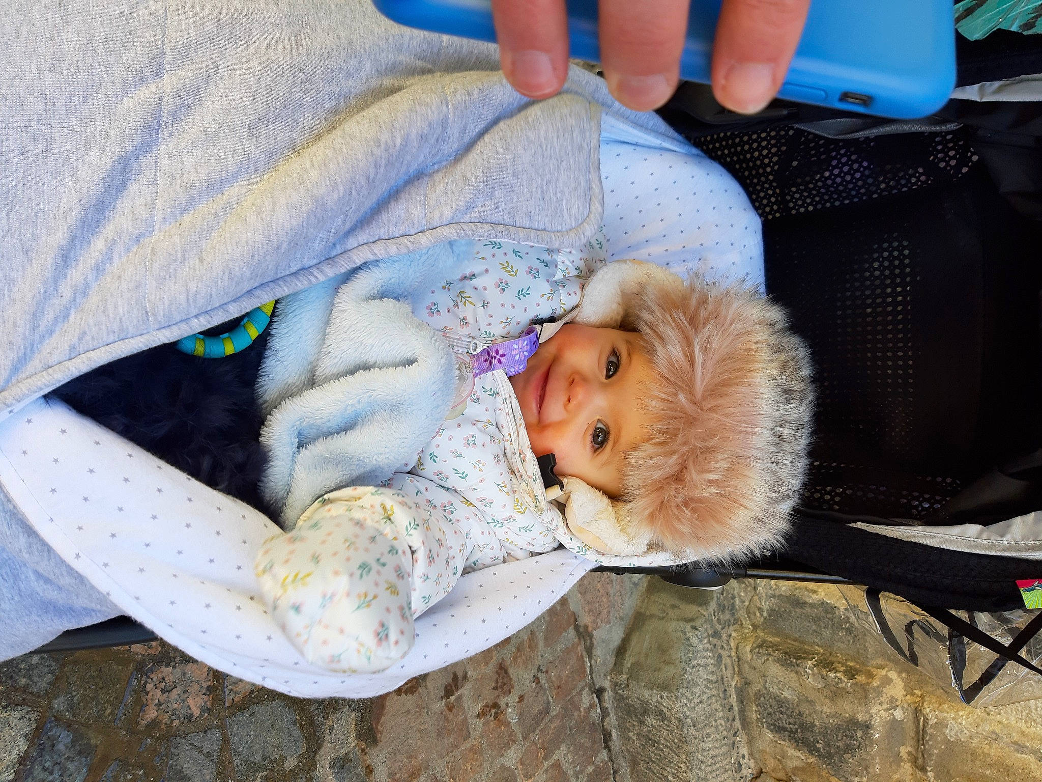 Margo participe au concours pour gagner de l'argent avec cette photo : baby, baby_products, blue, carnivore, child, comfort, companion_dog, eye, fawn, foot, fur, lap, nail, person, sitting, skin, sporting_group, textile, thumb, tree