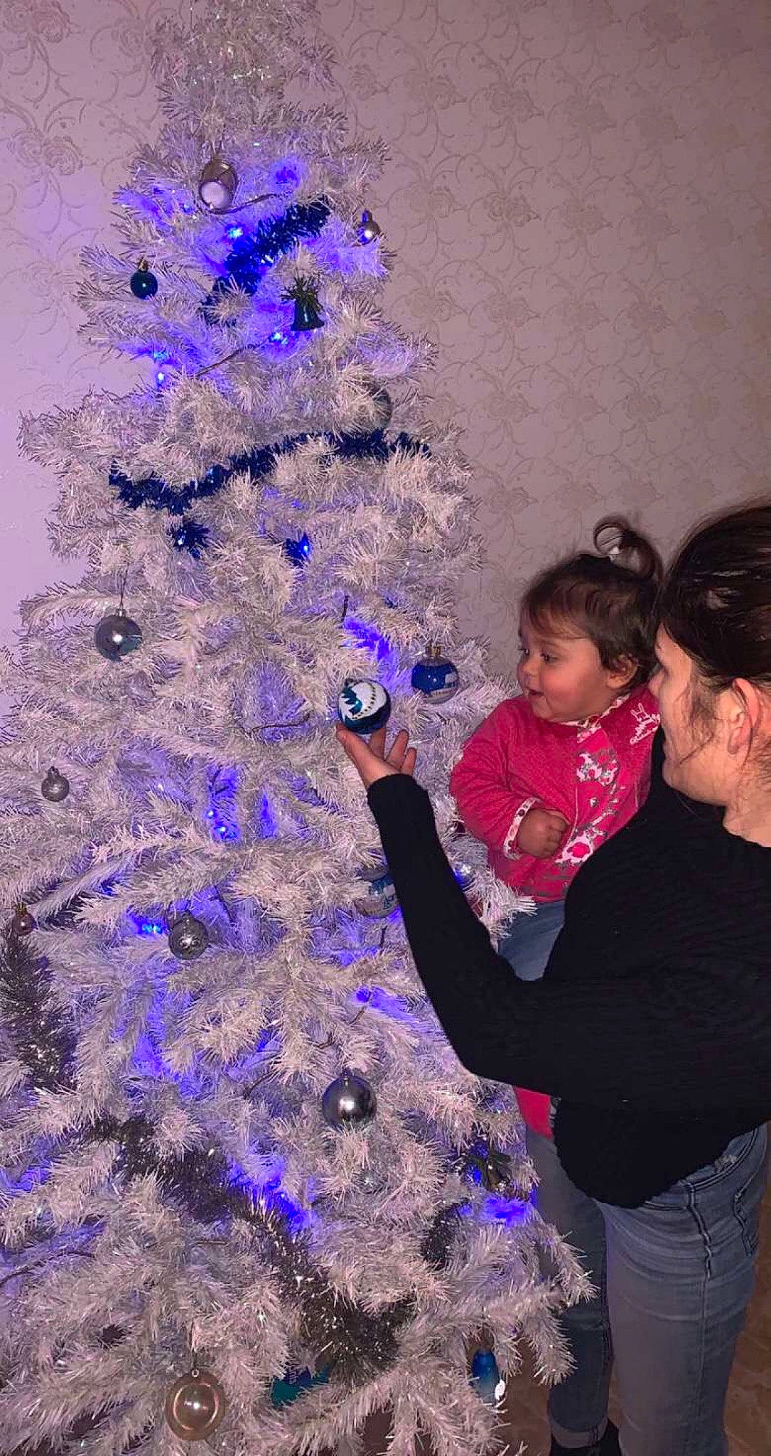 Zina participe au concours pour gagner de l'argent avec cette photo : branch, christmas, christmas_decoration, christmas_eve, christmas_ornament, christmas_tree, conifer, electric_blue, event, evergreen, holiday, holiday_ornament, larch, ornament, person, plant, purple, tradition, tree, violet